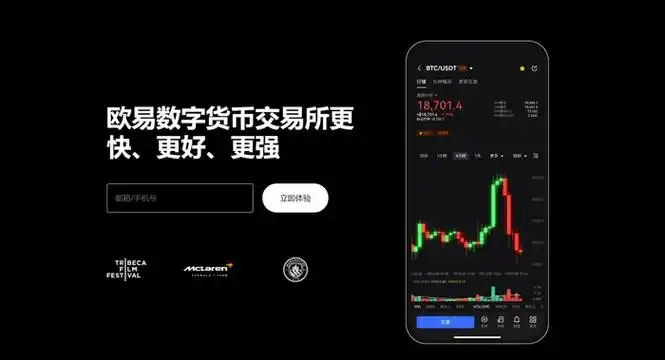 oe下载平台展示图